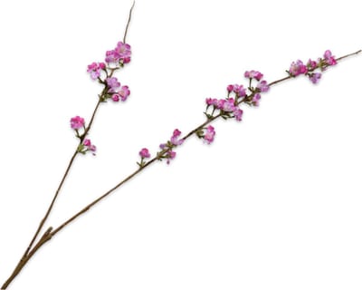 Silk-ka Kunstbloem-Zijden Bloemen Bloesem Tak Lila-Roze 116 cm