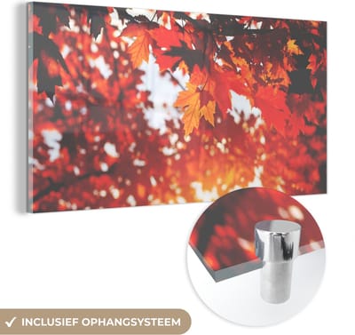 MuchoWow® Glasschilderij 40x20 cm - Schilderij acrylglas - Herfstbladeren - Landelijke decoratie - Zon - Foto op glas - Schilderijen