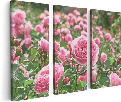 Artaza Canvas Schilderij Drieluik Roze Rozen Bloemenveld - 120x80 - Foto Op Canvas - Canvas Print