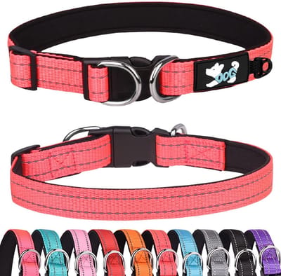 Dailygoods- Halsband Gewatteerd - Reflecterende Halsband - Verstelbare Halsband - Neopreen - Maat M (31-50 cm) - Comfortabel en Zacht - Hondenhalsband