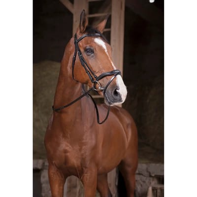 Teugels voor paarden Norton Pro Supergrip