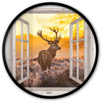 Poster in lijst Rond - Fotolijst 40x40 cm - Posters - Hert - Herfst - Dieren - Natuur - Bos - Doorkijk - Ronde posterlijst zwart - Decoratie - Wanddecoratie woonkamer - Muurdecoratie slaapkamer