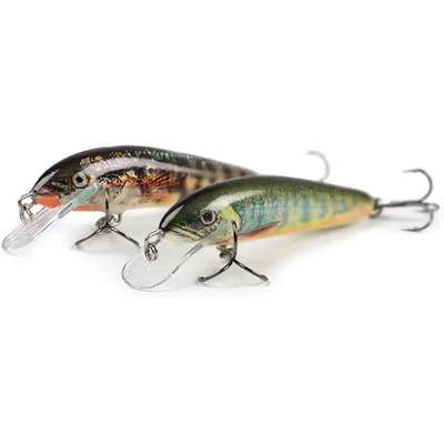 Hard zeeaas Salmo Lake Charr 6F