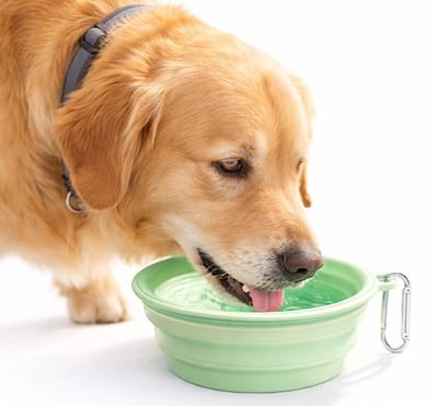 Opvouwbare Honden Voer- en Drinkbak – 650 ml – Draagbare Reisbak – Inclusief Karabijnhaak – Geschikt voor Hond & Kat – Groen