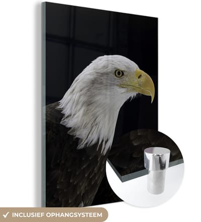 MuchoWow® Glasschilderij 120x160 cm - Schilderij acrylglas - Adelaar - Vogel - Snavel - Zwart - Foto op glas - Schilderijen