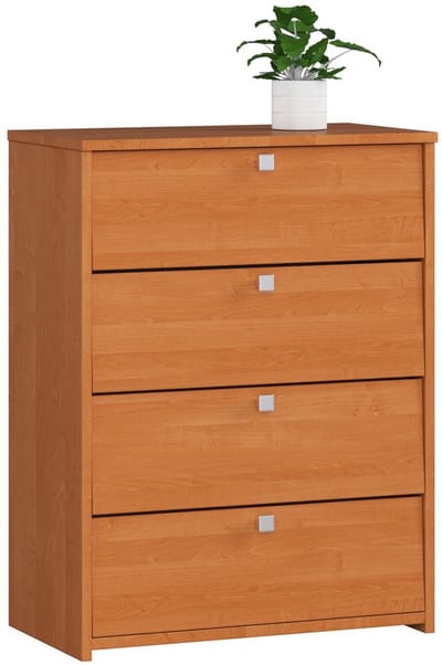 Vier Deurs Schoenkast 60cm - Klassiek Design in Olijfhoutlook