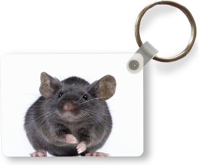 Sleutelhanger - Grijze muis - Uitdeelcadeautjes - Plastic
