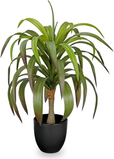 Realistische Nep Agave Plant van 56 cm in Pot - Perfect voor Binnen en Buiten Decoratie in Woonkamer, Keuken en Kantoor