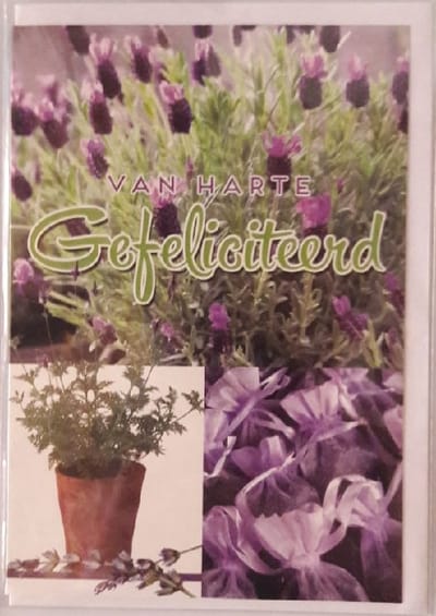 Van harte gefeliciteerd met je verjaardag! Een mooie wenskaart met leuke plant voor in de tuin. Een geschikte kaart om zo te geven of om bij een cadeau te voegen. Een dubbele wenskaart inclusief envelop en in folie verpakt.