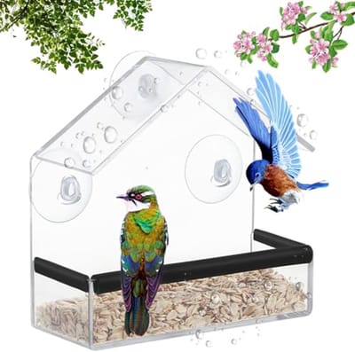 Acryl Transparante Venster Voederdispenser - Vogelvoeder met 3 Zuignappen en Voedercassette 15 x 15 x 6 cm voor Tits - Spreeuwen - Wilde Vogels