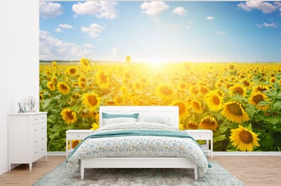 Behang - Fotobehang Zonnebloem - Zon - Wolken - Breedte 375 cm x hoogte 280 cm