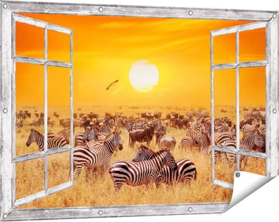 Gards Tuinposter Doorkijk Kudde Zebra's bij een Oranje Zonsondergang - 120x80 cm - Tuindoek - Tuindecoratie - Wanddecoratie buiten - Tuinschilderij