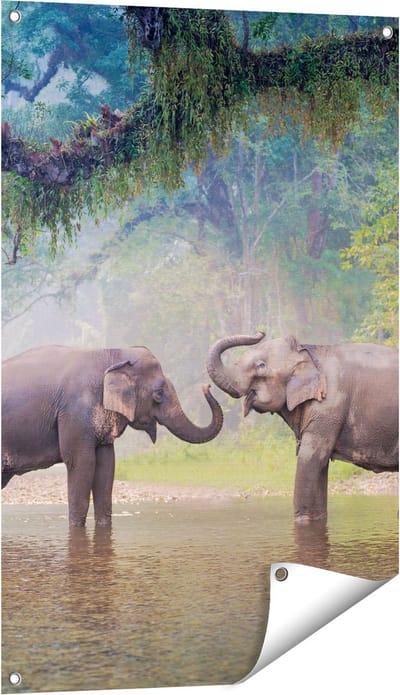 Gards Tuinposter Twee Olifanten in het Water - 60x90 cm - Tuindoek - Tuindecoratie - Wanddecoratie buiten - Tuinschilderij