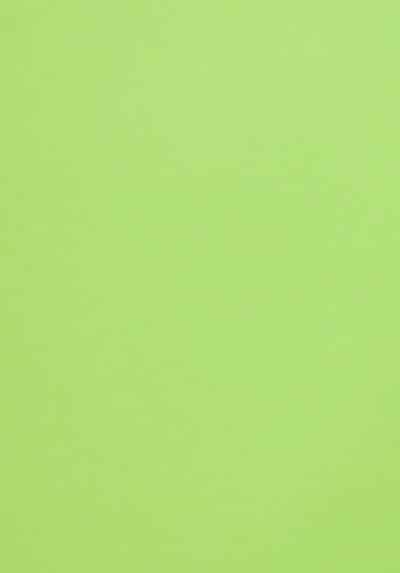 Netuno - groen glad gekleurd papier - A4 - 21 x 29,7 cm - 10 vellen - 120 gram - Malmero Bambou