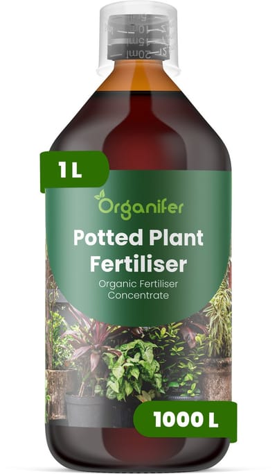 Vloeibare Meststof Voor Potplanten 1 L Voor 1000 L - Npk 3-4-3 Ondersteunt Evenwichtige Groei Bij Potplanten - Bevordert Sterke Wortelontwikkeling - Verbetert Bladstevigheid - Kleur En Algehele Plantvitaliteit - Organifer