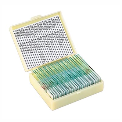 Allecto - Microscoopglijbanen set - 25 stuks - Voor biologisch onderwijs - Houten koffer - Dieren insecten planten monsters - Geschikt voor scholen...