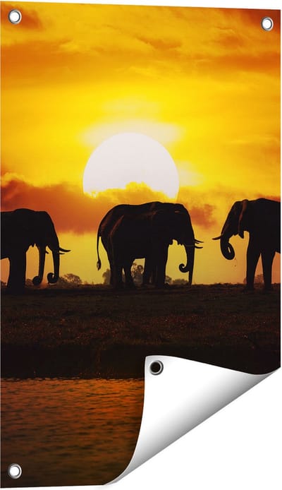 Gards Tuinposter Silhouet Olifanten tijdens Zonsondergang - 40x60 cm - Tuindoek - Tuindecoratie - Wanddecoratie buiten - Tuinschilderij