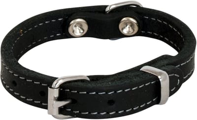 Jack And Vanilla - Halsbanden - Vetleder Halsband - Zwart - 10mmx25cm 45/7110 - 177552