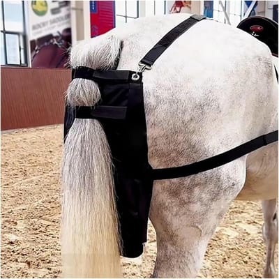 Mestverzamelzakken - Paardenluier - Stallen Schoonhouden - Waterdicht Oxford-doek - 2 stuks - Zwart