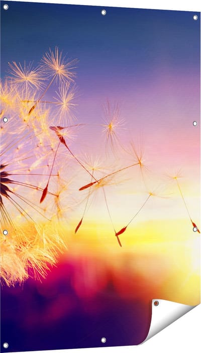 Gards Tuinposter Paardenbloem tijdens Zonsondergang - 80x120 cm - Tuindoek - Tuindecoratie - Wanddecoratie buiten - Tuinschilderij