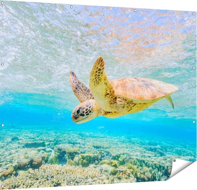 Gards Tuinposter Schildpad Zwemt in de Zee bij het Rif - 150x120 cm - Tuindoek - Tuindecoratie - Wanddecoratie buiten - Tuinschilderij