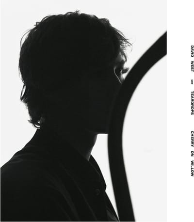 David West & Teardrops - Cherry On Willow (CD)