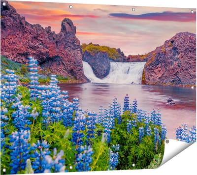 Gards Tuinposter Waterval met Blauwe Lupine Bloemen - 120x90 cm - Tuindoek - Tuindecoratie - Wanddecoratie buiten - Tuinschilderij
