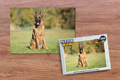 Puzzel Duitse Herder zit in de zon - Legpuzzel - Puzzel 500 stukjes