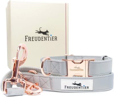Hondenriem en halsband set in stijlvolle geschenkdoos - Winterbestendig en onderhoudsvriendelijk | Veganistisch leer | Instelbare maat 30-42 cm