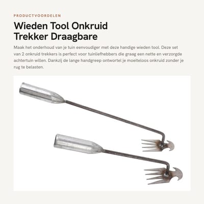 Dailygoods- Wieden Tool - Onkruidborstel - Onkruidtrekker - Draagbare Handschoffel - 4 Tanden - Lange Handgreep - Onkruidverwijderaar
