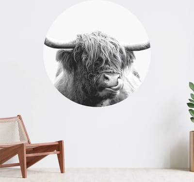 Muurcirkel zelfklevend behang - Grappige Schotse hooglander - Wanddecoratie - 080cm behangcirkel - Ronde sticker voor aan de muur - Behangsticker verkrijgbaar in verschillende formaten