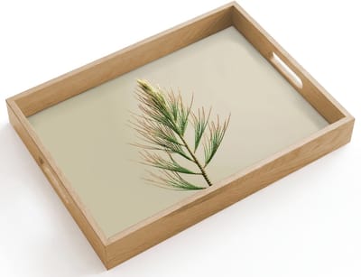 Dienblad hout 40x30 cm - Schootdienblad - Dennentak - Naaldvormige bladeren - Lichtgroen - Borrelplank rechthoek - Plateau dienbladen