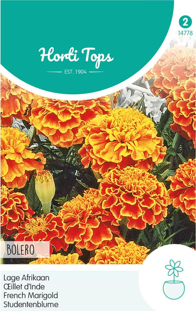 Hortitops Zaden - Tagetes Patula Nana Bolero