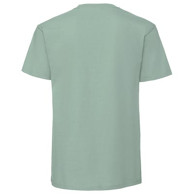 Fruit Of The Loom Heren Ringgesponnen Premium T-Shirt (Salie)