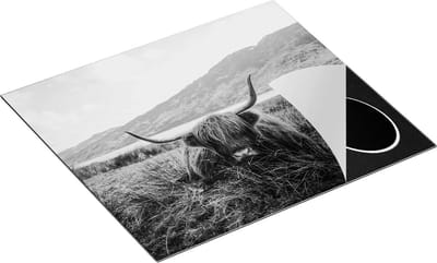 Chefcare Inductie Beschermer Schotse Hooglander ligt in het Gras - Zwart Wit - 60x50 cm - Afdekplaat Inductie - Kookplaat Beschermer - Inductie Mat