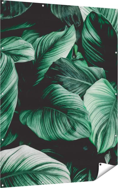 Gards Tuinposter Tropische Groene Bladeren - 120x160 cm - Tuindoek - Tuindecoratie - Wanddecoratie buiten - Tuinschilderij