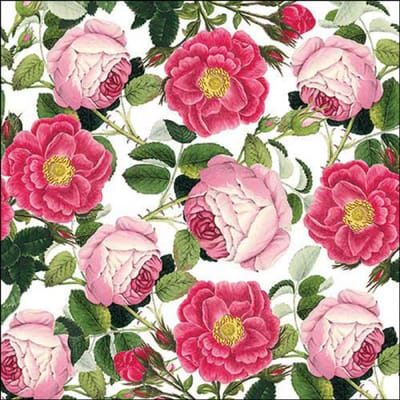 Servetten 20pcs / 33 x 33cm, Rosaline white