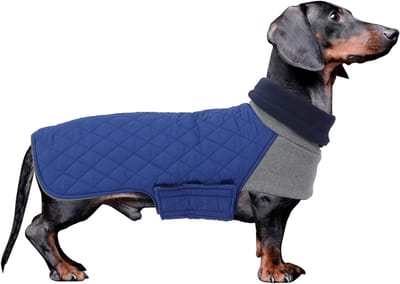 Warm Winterjacket voor Teckels, Waterdicht en Winddicht, Hoge Hals met Touwgaatjes voor Kleine Honden - Blauw - Perfect voor Koude Dagen