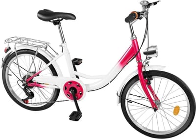 20 Inch Kinder Mountainbike met 6 Versnellingen en Bagagedrager