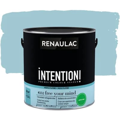 Renaulac Intention Muurverf - Extra Mat - Free Your Mind - 2,5l