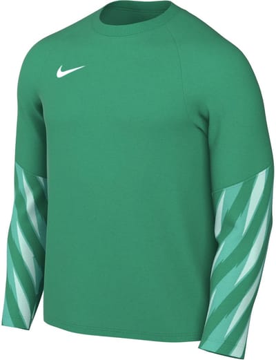 Nike Team Sweater Heren Dri-FIT Park V Stadium Groen - Maat 2XL