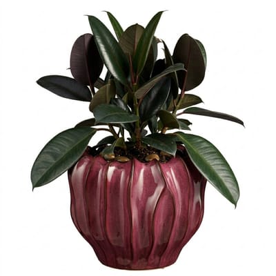 Mica Decorations Planten / bloempot Thom - bordeaux rood - keramiek - 22 x 28 cm