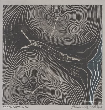Needtobreathe - Rivers In The Wasteland (LP)