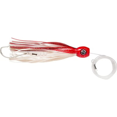 Lok Williamson Hspeed Sailfish