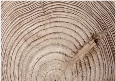 Fotobehang - Wood grain.