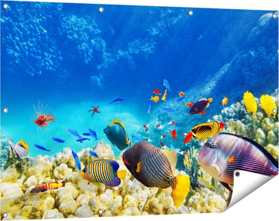 Gards Tuinposter Vissen in de Oceaan met Koralen - 120x80 cm - Tuindoek - Tuindecoratie - Wanddecoratie buiten - Tuinschilderij