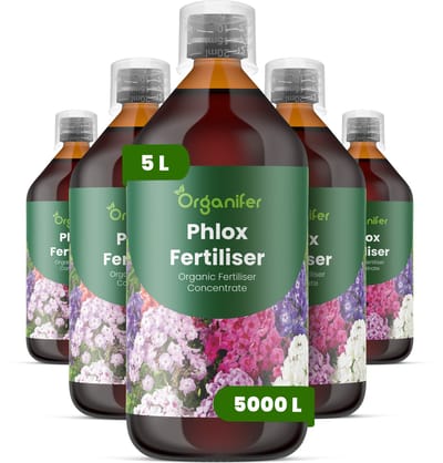 Vloeibare Meststof Voor Phlox 5X1 L Voor 5000 L - Npk 2-1-8 - Geschikt Voor Meerjarige En Eenjarige Vlambloemsoorten - Ondersteunt Herstel Na Snoeien - Bevordert Een Uitbundige Bloei En Levendige Bloemkleur - Organifer