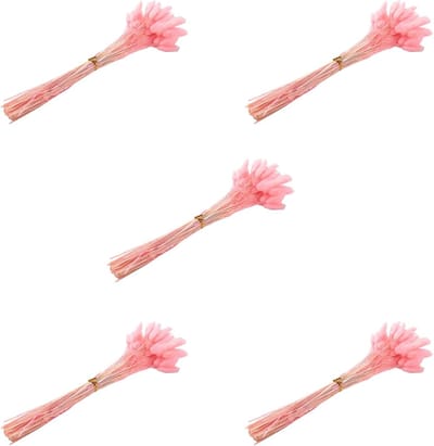 Gedroogde Bloemen - Natuurlijke Decoratie Gras - Huis Aankleden - Ruim 300 Stuks - 43 Cm Lengte - Zacht Roze