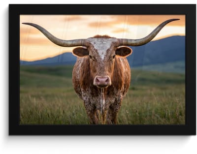 Poster in lijst - Fotolijst 30x20 cm - Posters - Longhorn - Landschap - Zonsondergang - Posterlijst zwart - Decoratie - Wanddecoratie woonkamer - Muurdecoratie slaapkamer