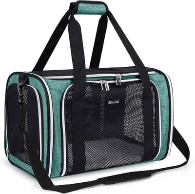 Reismand Kat Hond - Draagtas Dier - Veilig Vervoer - Lichtgewicht Opvouwbaar - 43x28x30 cm - Groen